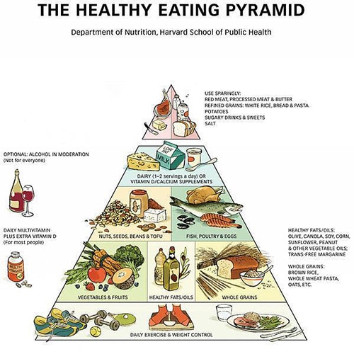 La pirámide nutricional: un factor evolutivo clave en la historia del ser humano