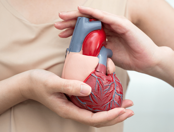 Qué hacer para prevenir enfermedades cardiovasculares