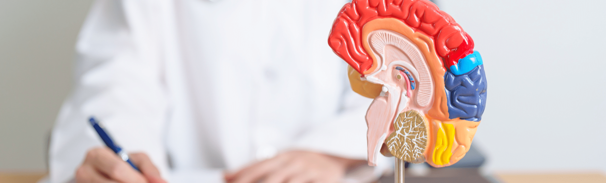 Mitos y verdades sobre la próstata: lo que todo hombre debería saber antes de los 50